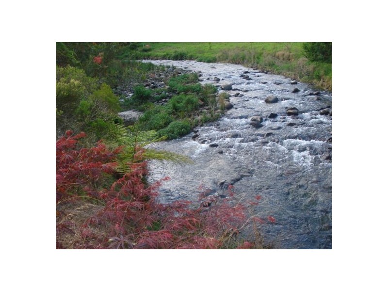 1824 Bishops Creek Darkwood, Bellingen NSW 2454