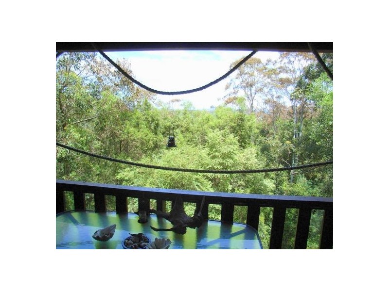 50 Tuckers Rock Road, Repton NSW 2454