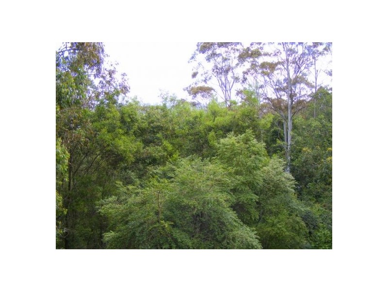50 Tuckers Rock Road, Repton NSW 2454