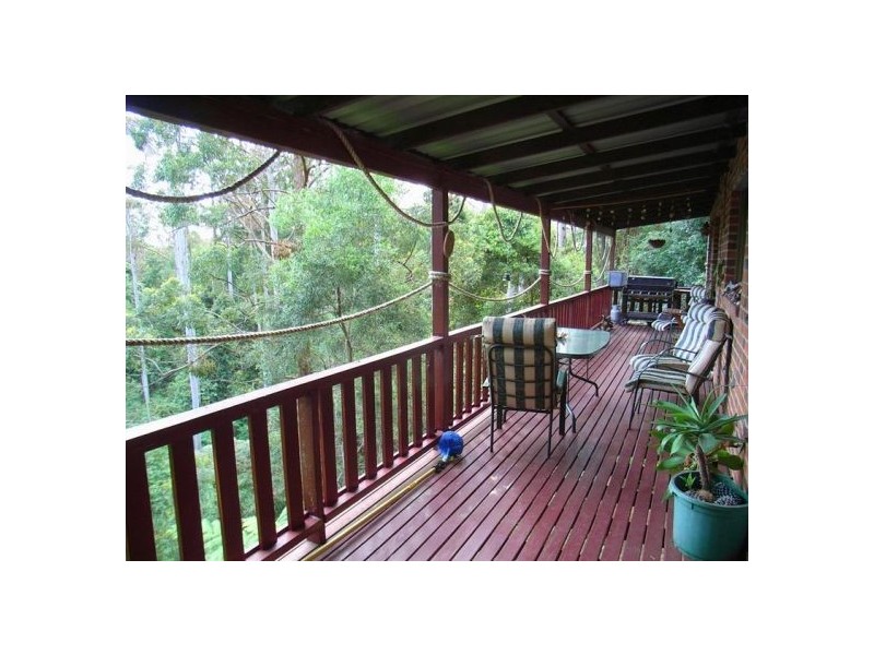 50 Tuckers Rock Road, Repton NSW 2454