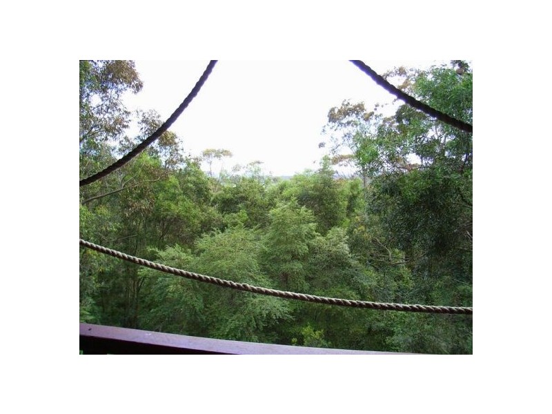 50 Tuckers Rock Road, Repton NSW 2454