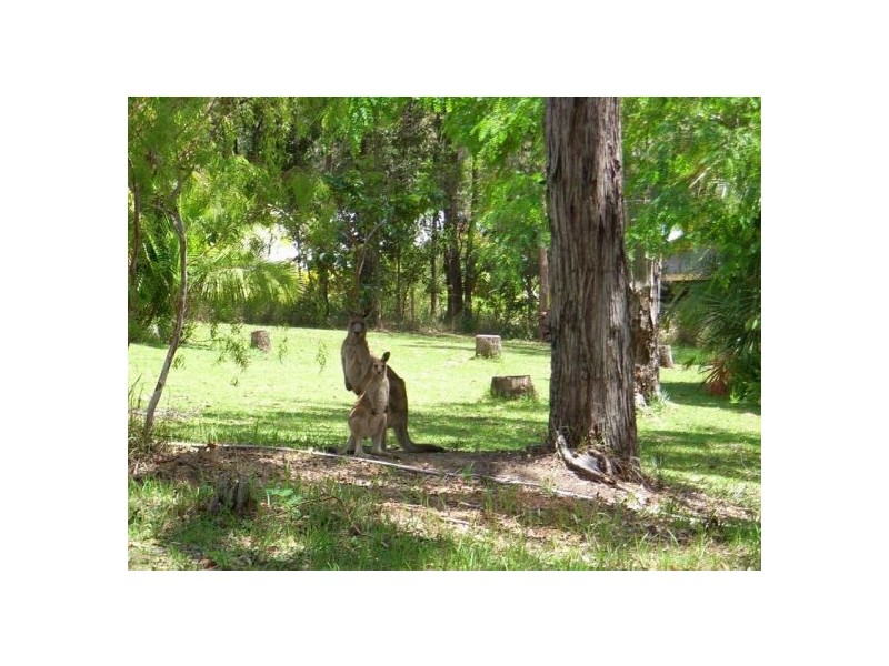 15 Odalberree Drive, Urunga NSW 2455