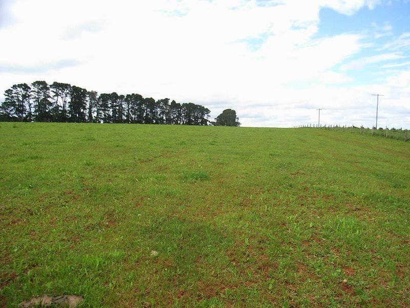 4948 Waterfall Way, Dorrigo NSW 2453