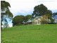 4948 Waterfall Way, Dorrigo NSW 2453
