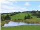 4948 Waterfall Way, Dorrigo NSW 2453