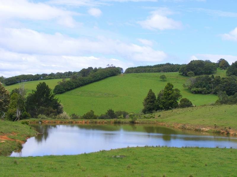 4948 Waterfall Way, Dorrigo NSW 2453
