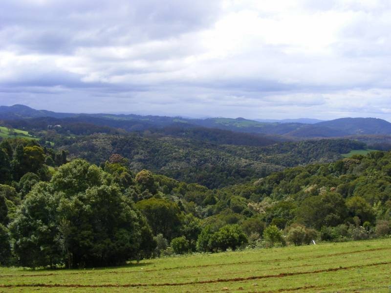 4948 Waterfall Way, Dorrigo NSW 2453
