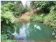 4948 Waterfall Way, Dorrigo NSW 2453