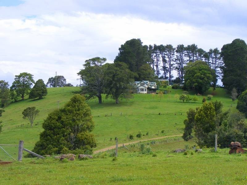 4948 Waterfall Way, Dorrigo NSW 2453