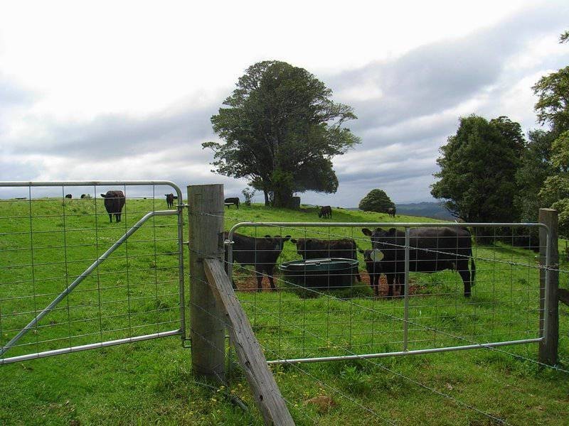 4948 Waterfall Way, Dorrigo NSW 2453