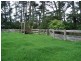 4948 Waterfall Way, Dorrigo NSW 2453