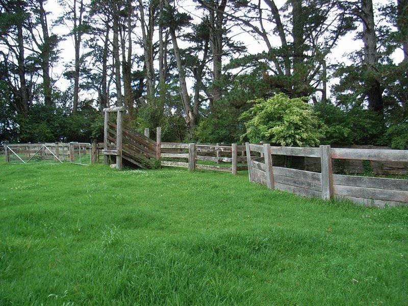 4948 Waterfall Way, Dorrigo NSW 2453