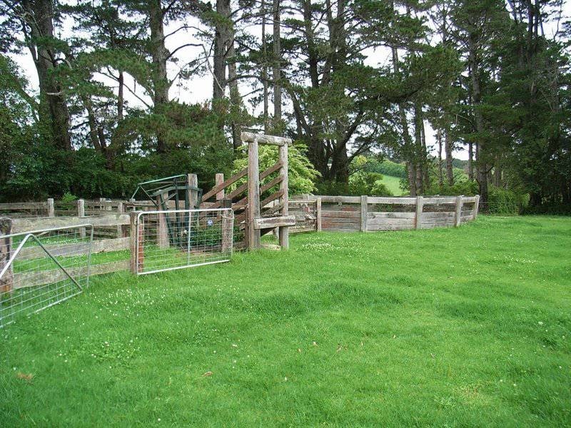 4948 Waterfall Way, Dorrigo NSW 2453