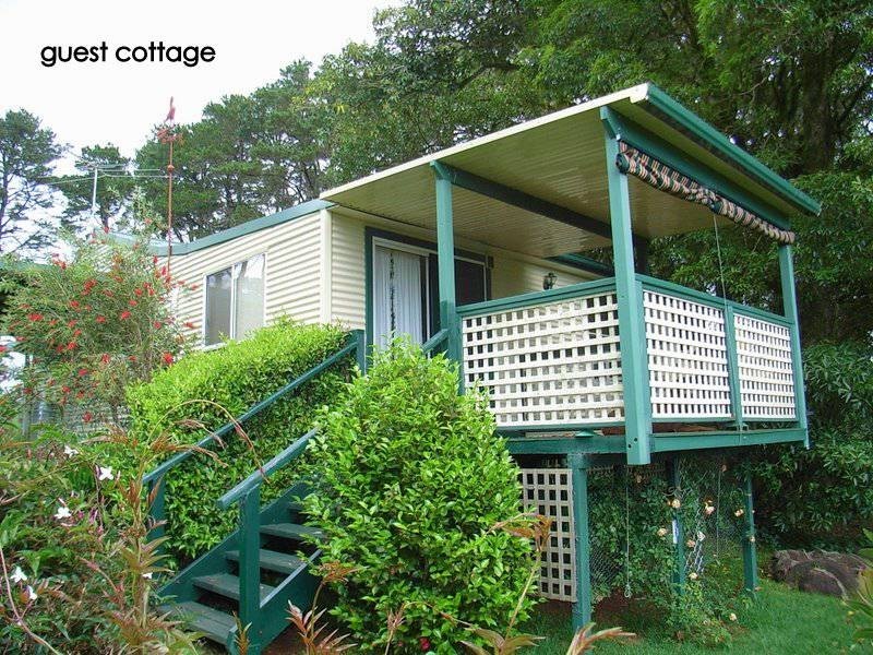 4948 Waterfall Way, Dorrigo NSW 2453
