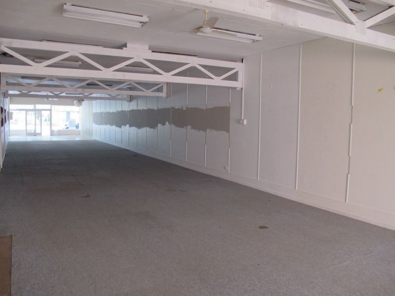 56 Hyde Street, Bellingen NSW 2454