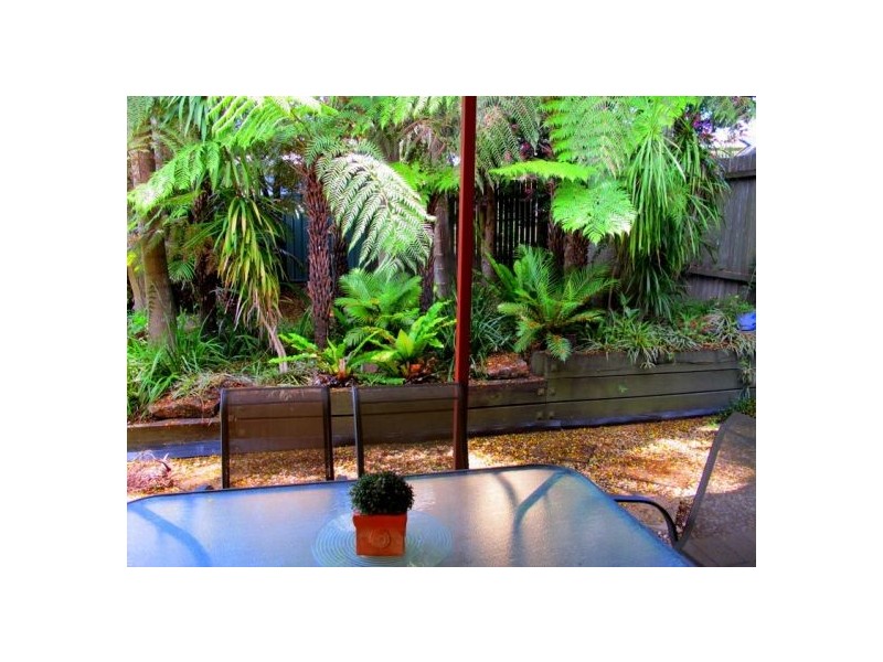 10 Raymond Close, Bellingen NSW 2454