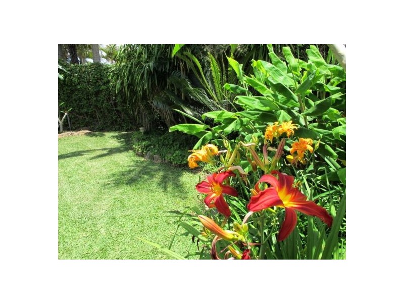 10 Raymond Close, Bellingen NSW 2454