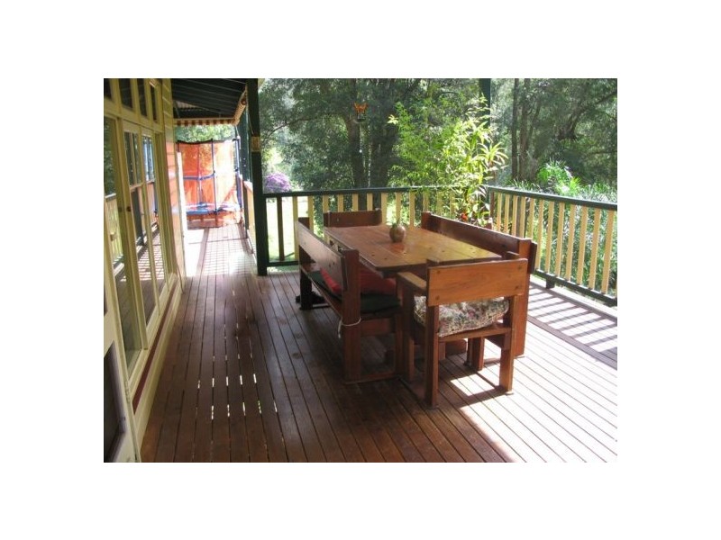 259 Sunny Cnr Rd, Bellingen NSW 2454