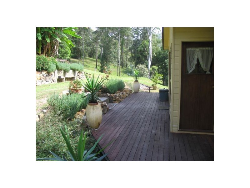 259 Sunny Cnr Rd, Bellingen NSW 2454