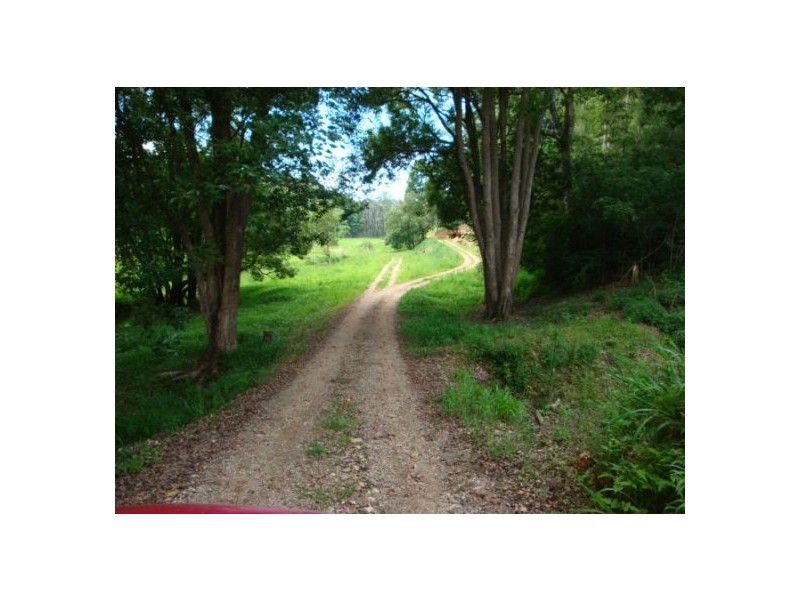 259 Sunny Cnr Rd, Bellingen NSW 2454