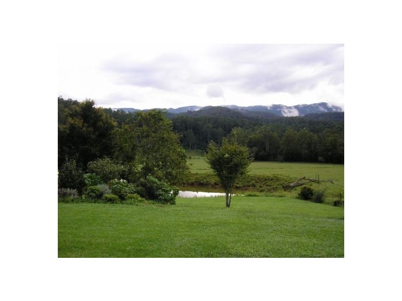1898 Darkwood Road Thora, Bellingen NSW 2454