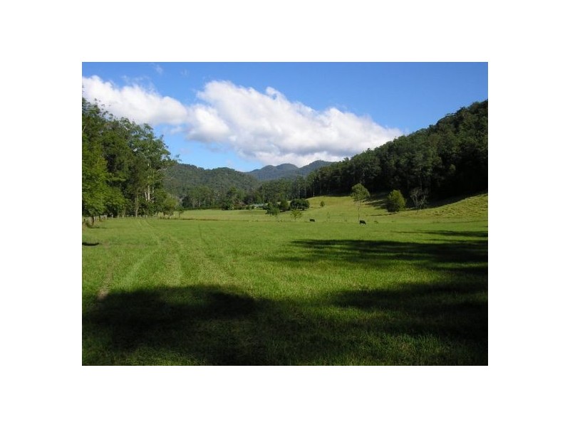 1898 Darkwood Road Thora, Bellingen NSW 2454