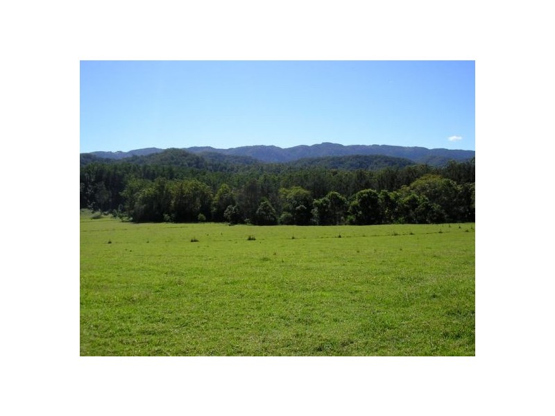1898 Darkwood Road Thora, Bellingen NSW 2454