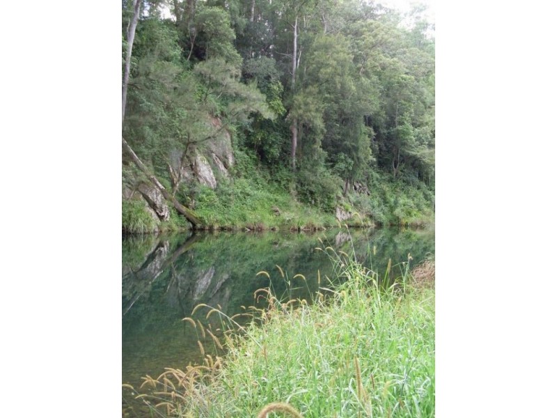 1898 Darkwood Road Thora, Bellingen NSW 2454