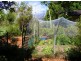 2 Prince St, Bellingen NSW 2454
