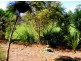 2 Prince St, Bellingen NSW 2454