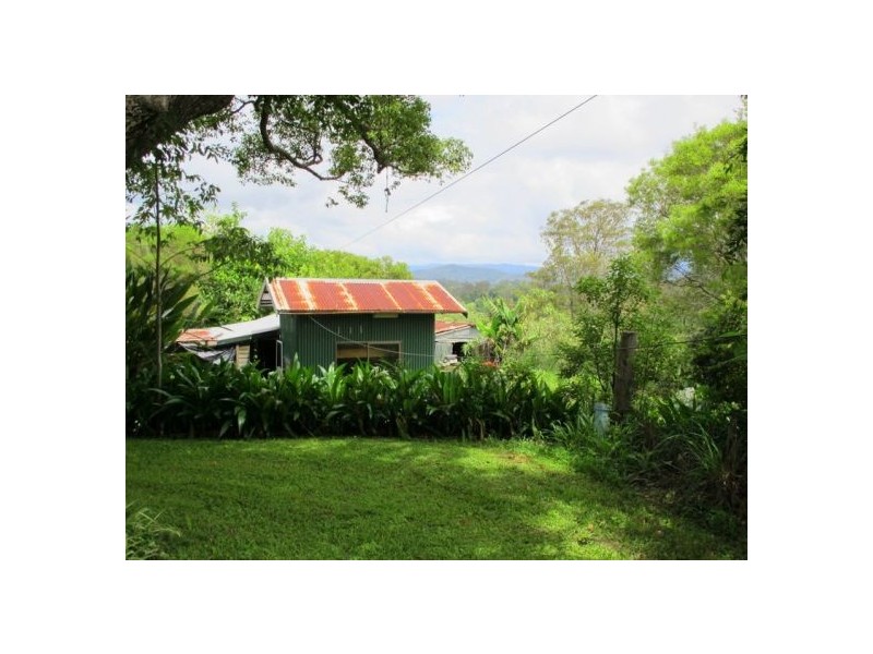 528 Bowraville Road, Bellingen NSW 2454