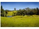1316 Bowraville Road, Bellingen NSW 2454