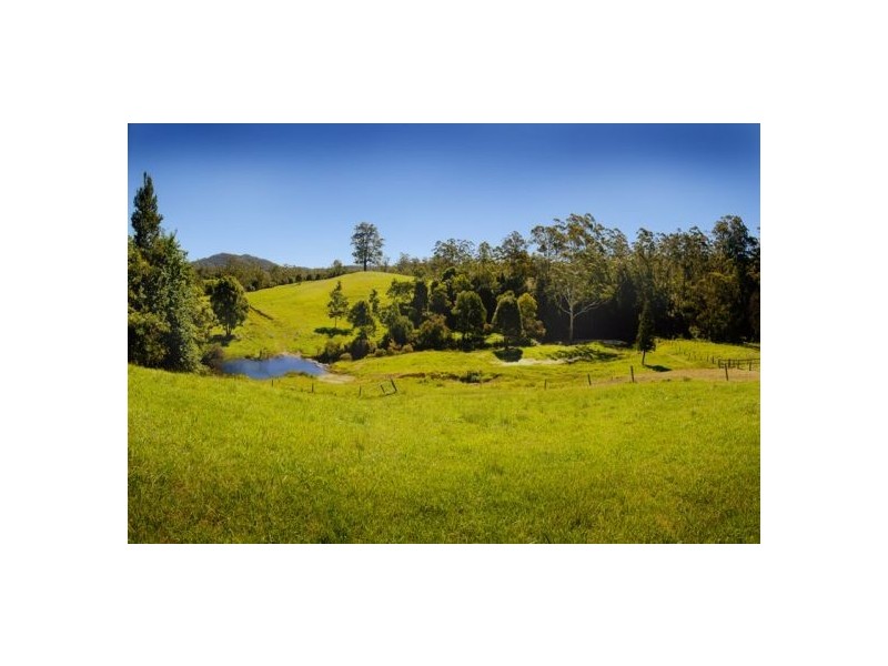 1316 Bowraville Road, Bellingen NSW 2454
