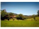 1316 Bowraville Road, Bellingen NSW 2454