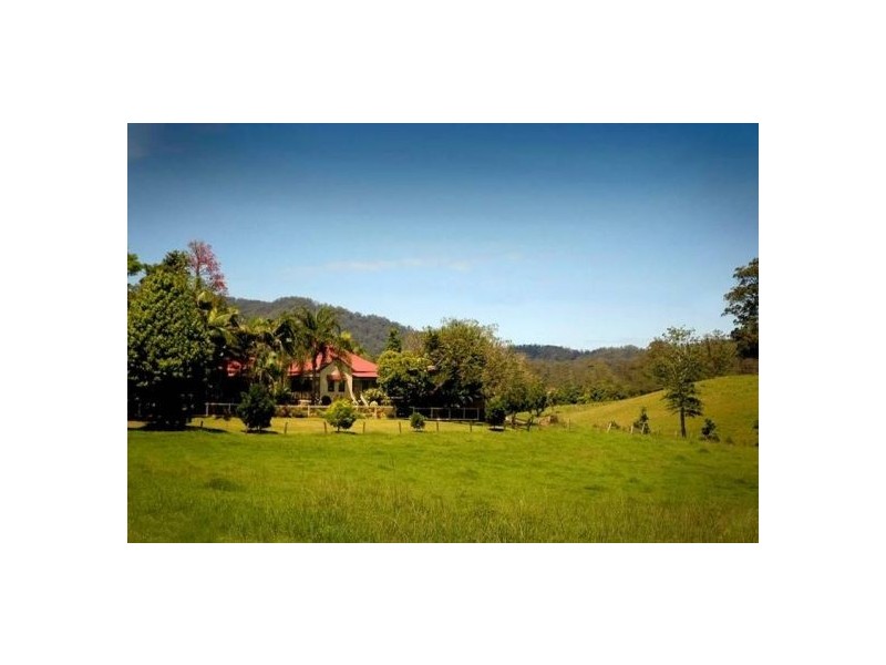 1316 Bowraville Road, Bellingen NSW 2454