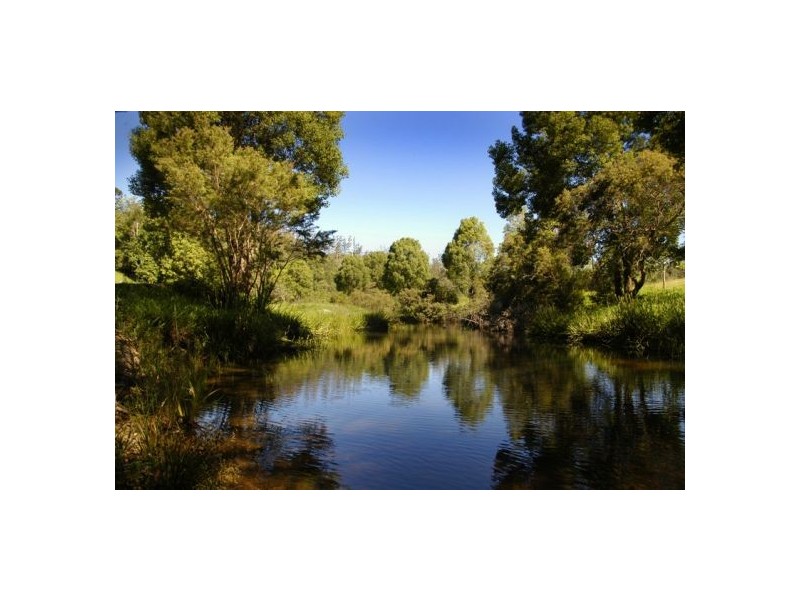 1316 Bowraville Road, Bellingen NSW 2454