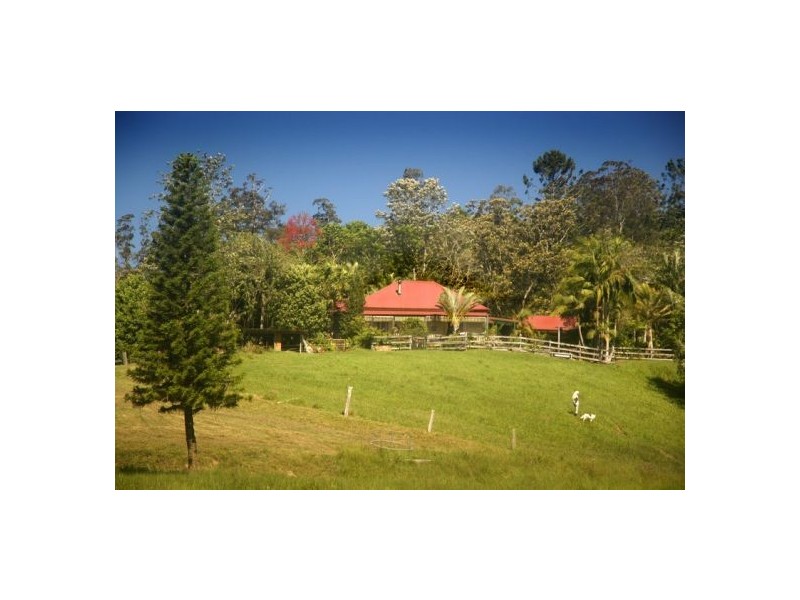 1316 Bowraville Road, Bellingen NSW 2454