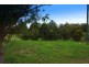 12 Riverside Drive, Raleigh, Bellingen NSW 2454