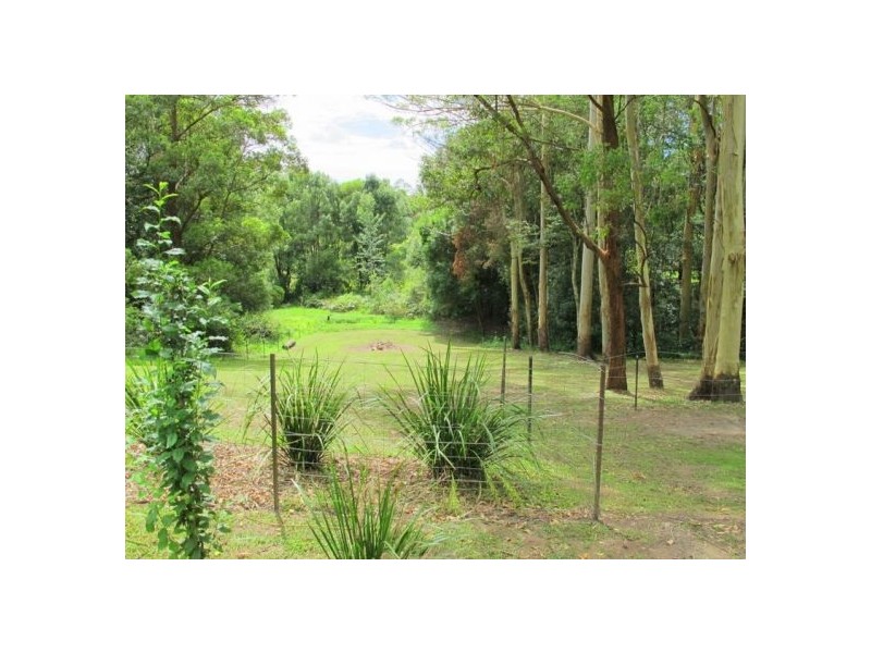 19 Hyde Street Fernmount, Bellingen NSW 2454