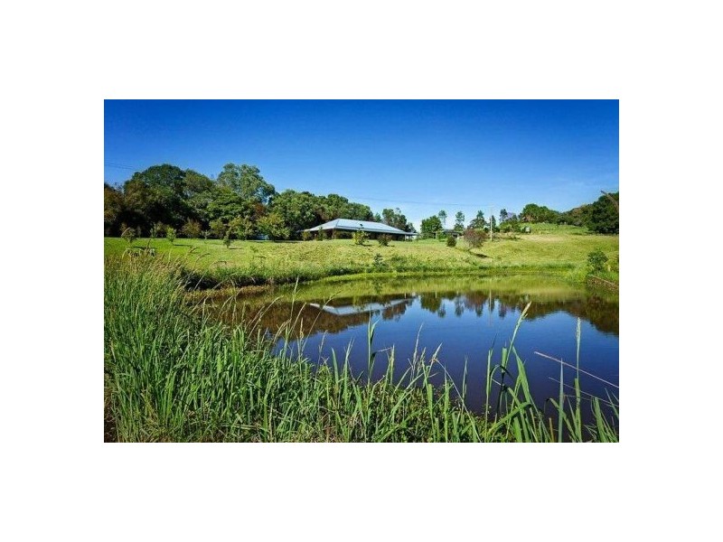 Bellingen NSW 2454