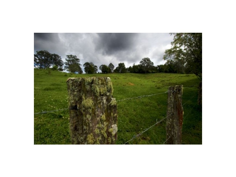 97 Cascade Road, Megan NSW 2453