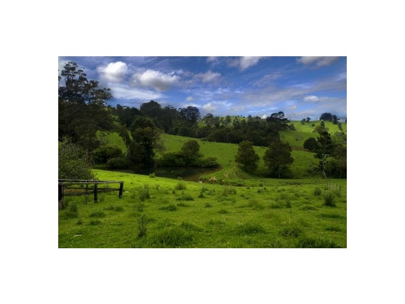 97 Cascade Road, Megan NSW 2453