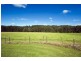 635 Gordonville Road, Bellingen NSW 2454