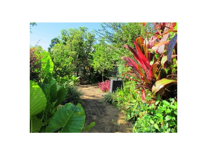 13 Bowra St, Bellingen NSW 2454