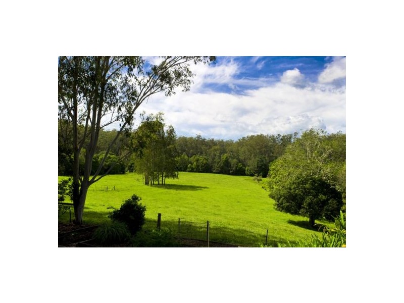 869 South Arm Rd Urunga, Bellingen NSW 2454