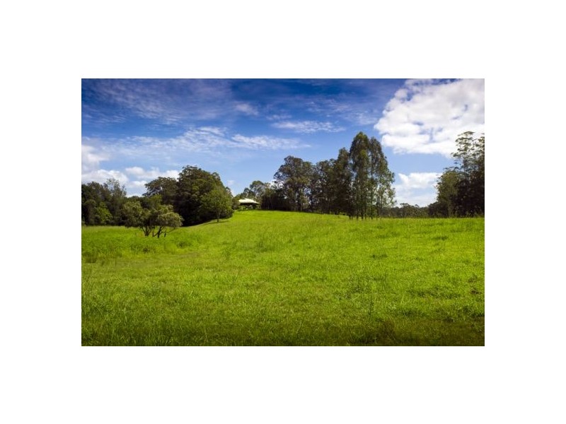 869 South Arm Rd Urunga, Bellingen NSW 2454