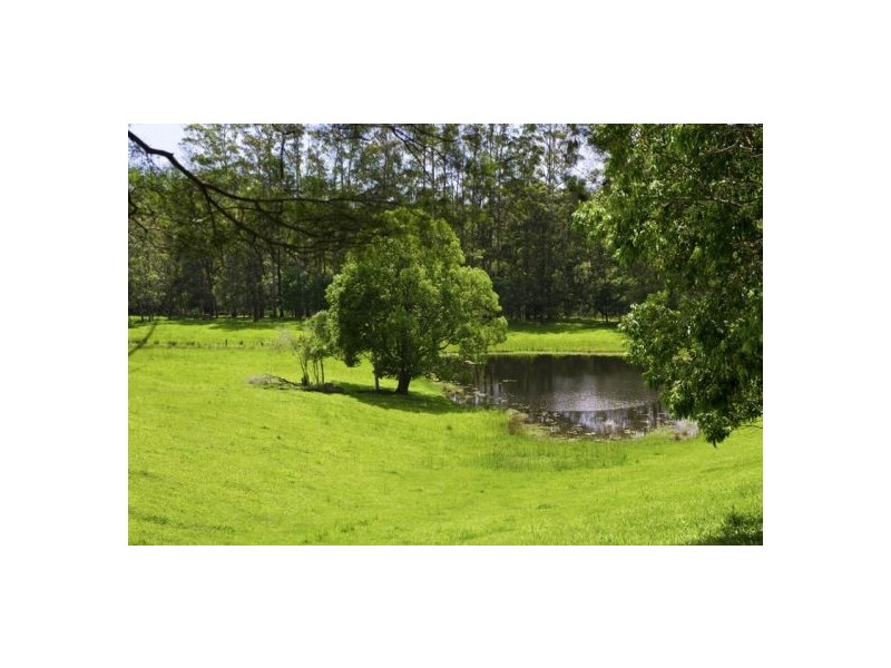 869 South Arm Rd Urunga, Bellingen NSW 2454