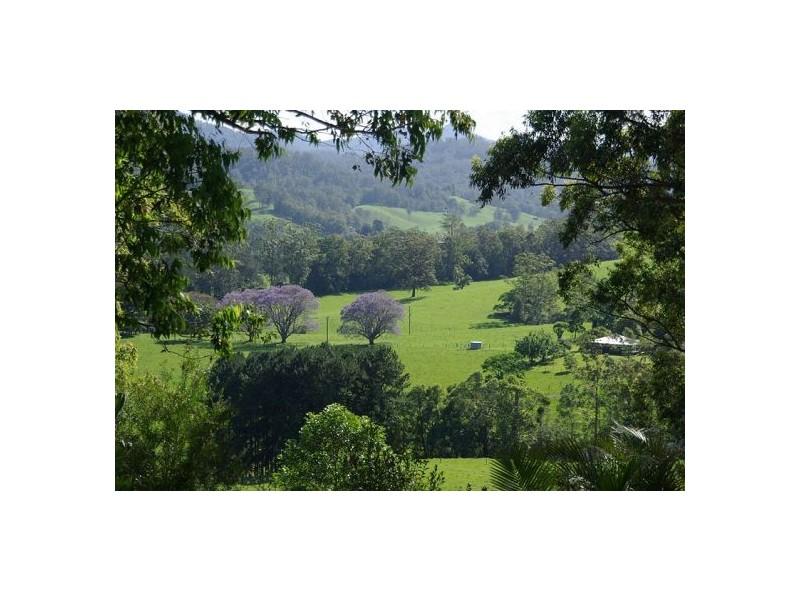 Thora NSW 2454