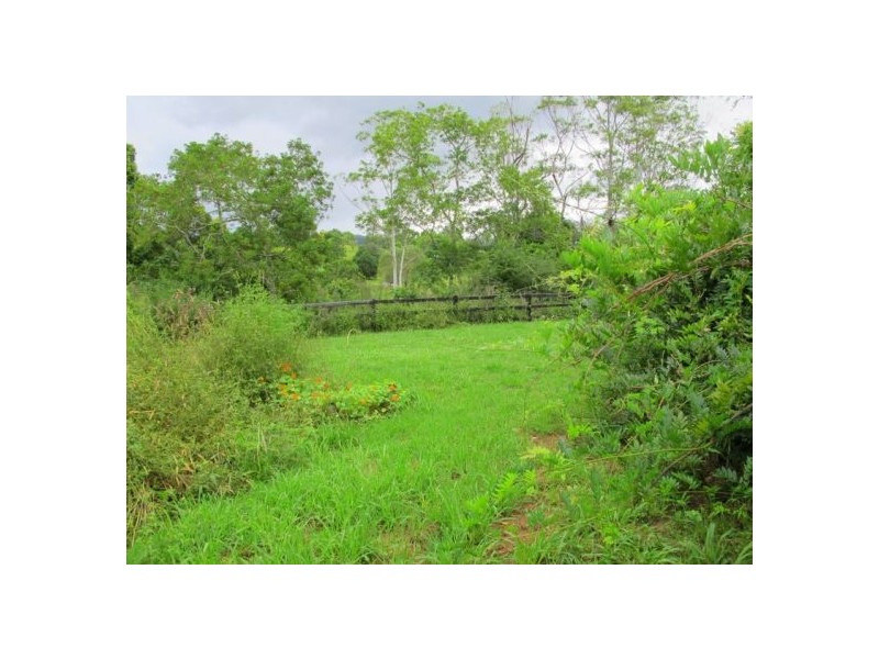 1701 Waterfall Way, Bellingen NSW 2454