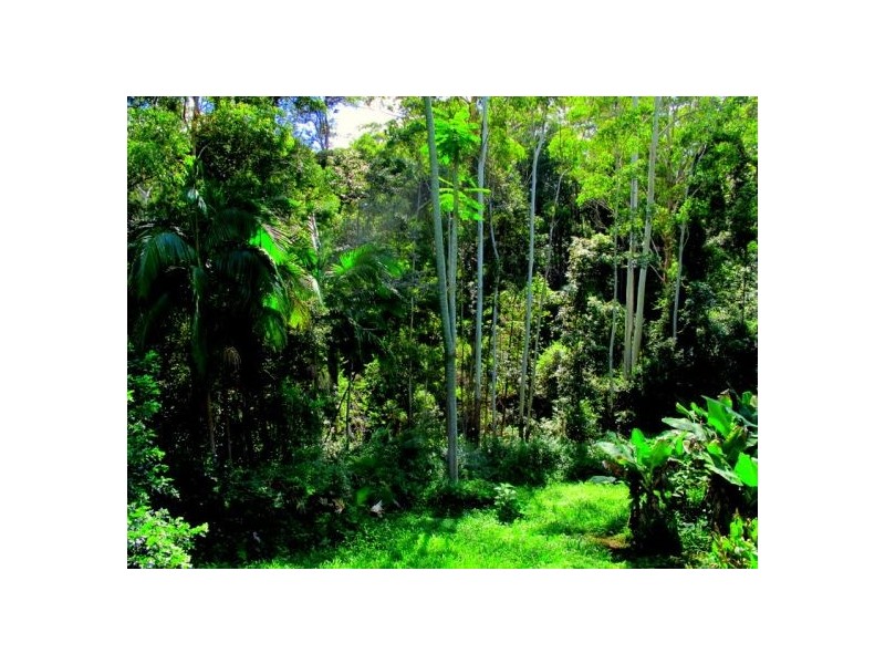 6 Morningside Drive, Valla NSW 2448